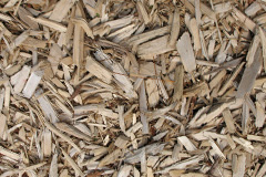 biomass boilers Brenachie